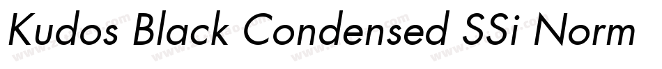Kudos Black Condensed SSi Normal字体转换